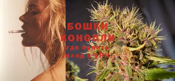 молекула духа Елизово