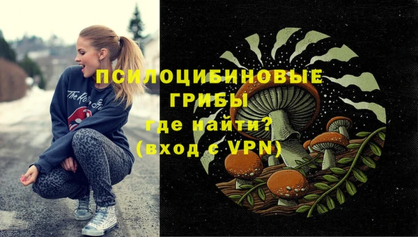 МДМА Заволжск