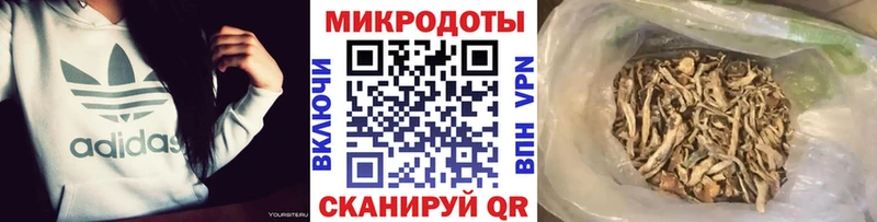 продажа наркотиков  Нефтекамск  Псилоцибиновые грибы Magic Shrooms 
